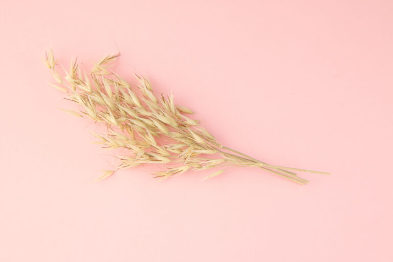 Wheat Allergy – Everything you need to know