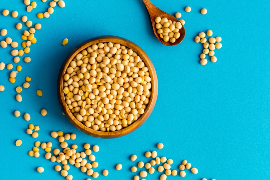soybeans in a bowl over a blue background.
